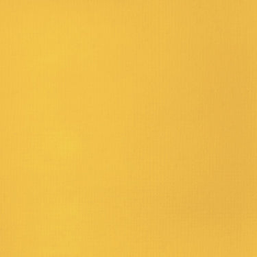 LQX BASICS ACRYLIC 163 CADMIUM YELLOW DEEP HUE [WEBSITE SWATCH]