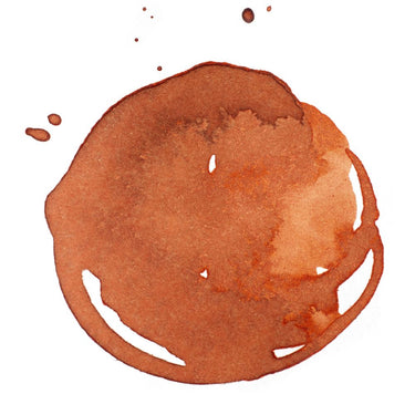 Professional Acrylic Ink - Transparent Burnt Sienna