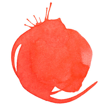 Professional Acrylic Ink - Vivid Red Orange