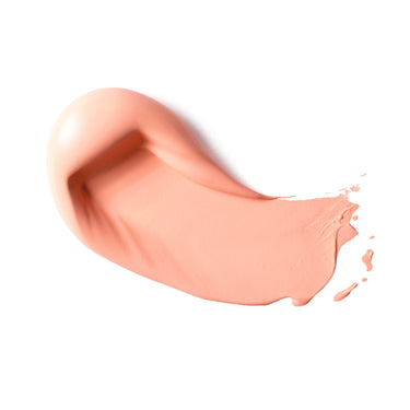 Professional Heavy Body Acrylic - Light Pink